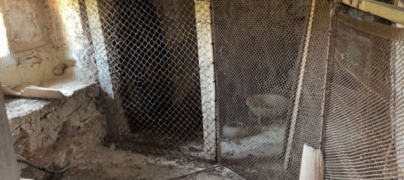 3 chambres Maison à El Perello, Spain No. 161276 7