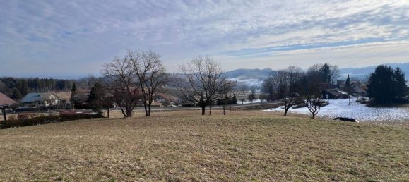 Grundstück in Ehrenhausen an der Weinstraße, Austria, Nr. 78682 6