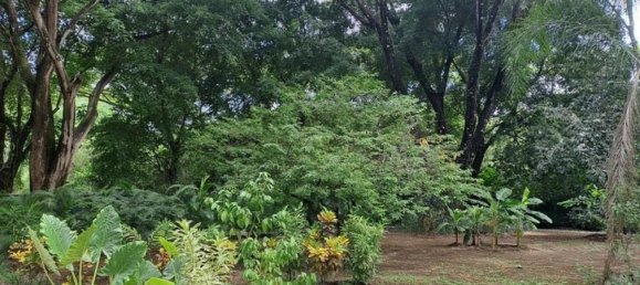 Casa T4 em Nicoya, Costa Rica N.º 688 6