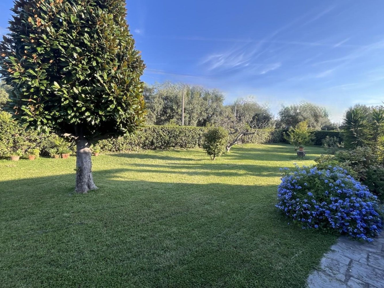 4 bedrooms Villa in Seravezza, Italy No. 371616