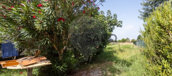 3 غرف نوم منزل في Marinhais, Portugal رقم 286122 22