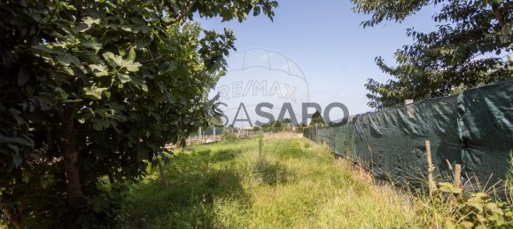 3 غرف نوم منزل في Marinhais, Portugal رقم 286122 23