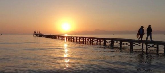  قطعة أرض في Muro, Spain رقم 92193 17