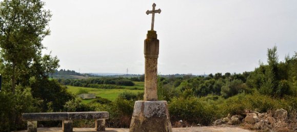  قطعة أرض في Muro, Spain رقم 92193 11