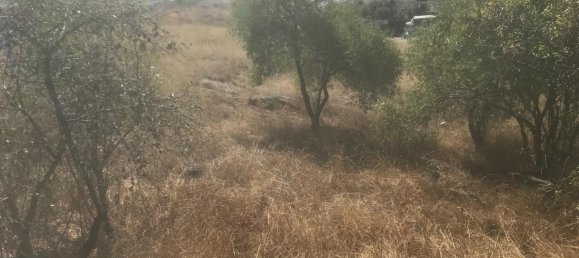 Terreno en El Molar, Spain 13891 m² No. 81889 6