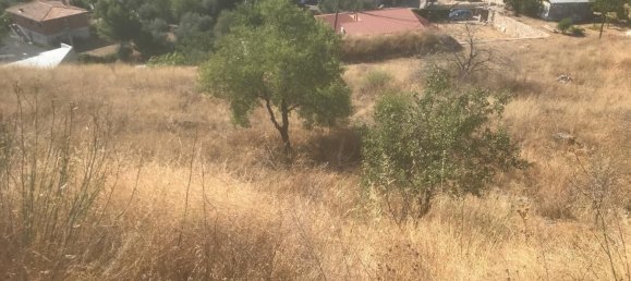 Terreno en El Molar, Spain 13891 m² No. 81889 4