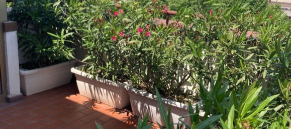 Пентхаус с 6 комнатами в Пезаро, Италия № 196597 16