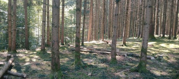  قطعة أرض في Unterallgau, Germany رقم 292321 4