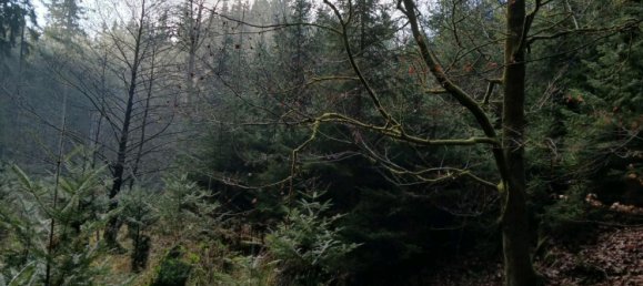  قطعة أرض في Unterallgau, Germany رقم 292321 8