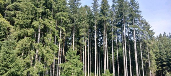  قطعة أرض في Unterallgau, Germany رقم 292321 5