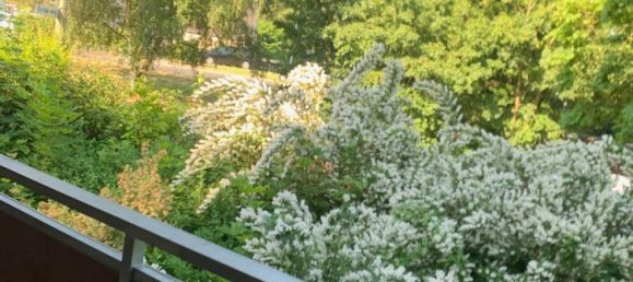 2 غرف نوم شقة في Rhein-Sieg, Germany رقم 124014 15