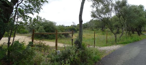 Grundstück in Almancil, Portugal 2000m², Nr. 88543 15