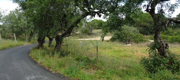 Grundstück in Almancil, Portugal 2000m², Nr. 88543 10