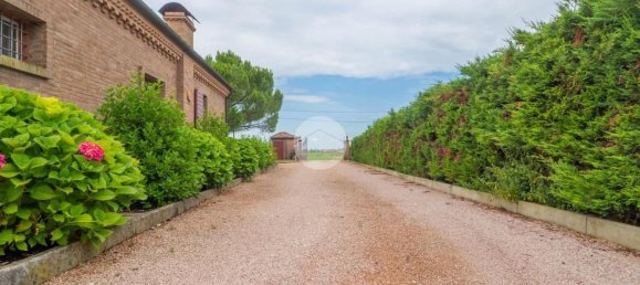 5 rooms Villa in Ferrara, Italy No. 262482 48