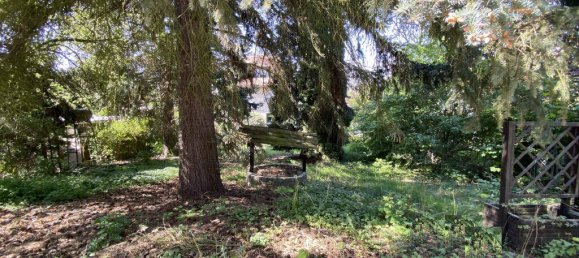 6-Zimmer Haus in Nordsachsen, Germany, Nr. 317143 3