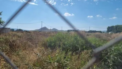 Terrain à Alicante, Spain 10065m² No. 244008