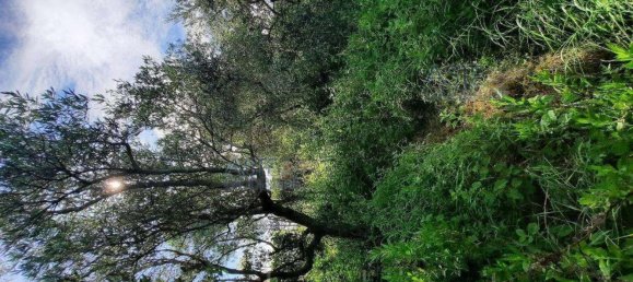 5 rooms House in Gemmano, Italy No. 12156 7