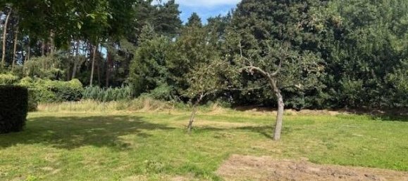  Land in Vorpommern-Greifswald, Germany No. 355064 5