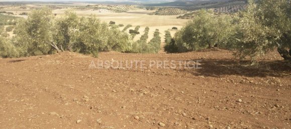 8 bedrooms House in Antequera, Spain No. 45056 11