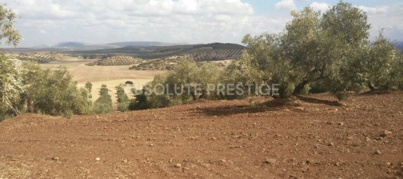 8 bedrooms House in Antequera, Spain No. 45056 6