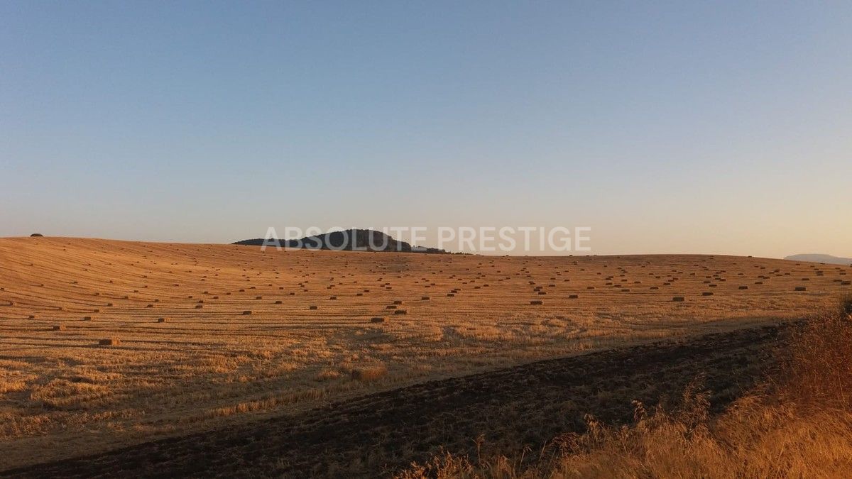 8 bedrooms House in Antequera, Spain No. 45056