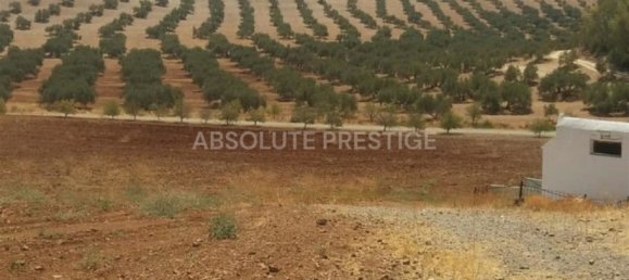 8 bedrooms House in Antequera, Spain No. 45056 8