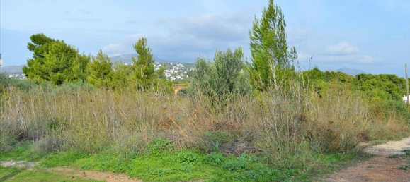 Hotel in Rafina, Greece 996m², Nr. 6896 2