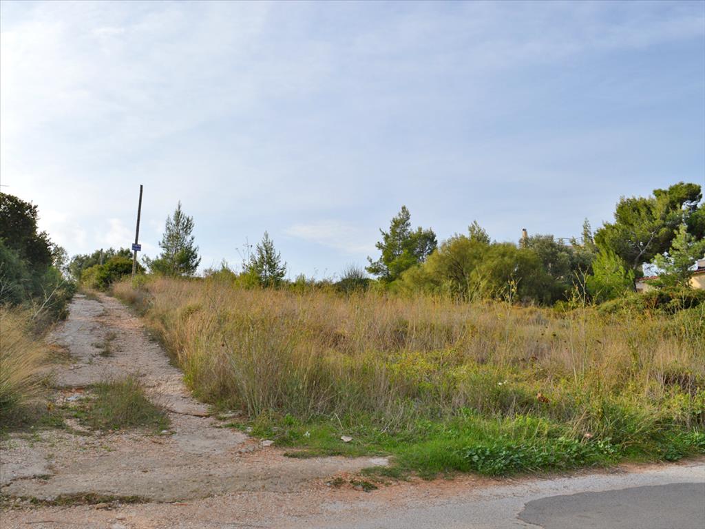 Отель, гостиница 996м² в Рафина, Рафина-Пикермион, Восточная Аттика, Аттика, Греция № 6896