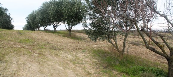 Hotel em Thermaic Gulf, Greece 7350 m² N.º 7460 6