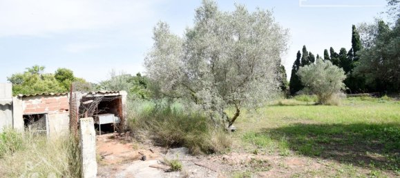 Дом с 4 спальнями в Нулес, Испания № 129428 27