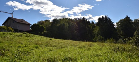 Terrain à Kainbach bei Graz, Austria No. 247885 3