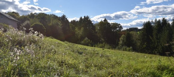 Terrain à Kainbach bei Graz, Austria No. 247885 6