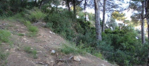  Land in Alicante, Spain No. 135747 2