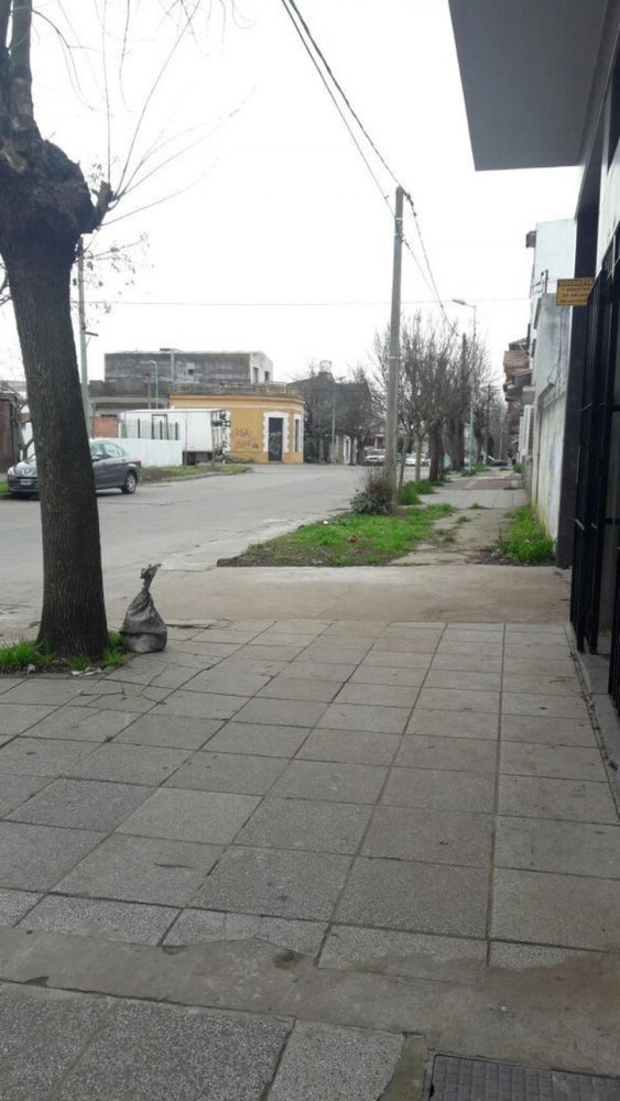 استوديو في Mar del Plata, Argentina رقم 65816