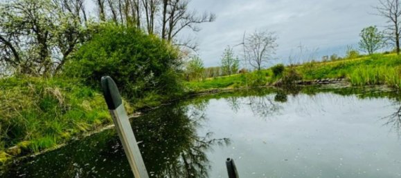 12-Zimmer Bauernhof in Ostprignitz-Ruppin, Germany, Nr. 342260 4