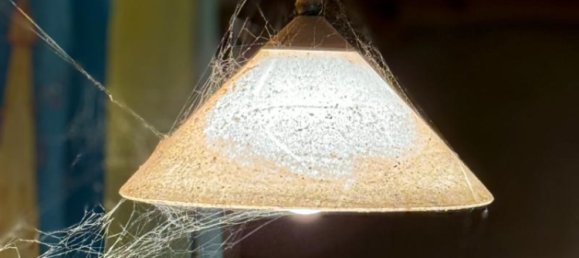 12-Zimmer Bauernhof in Ostprignitz-Ruppin, Germany, Nr. 342260 15