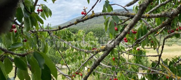 Дом с 2 спальнями в Ферентилло, Италия № 50432 17