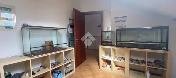 5 rooms Apartment in Casella, Italy No. 15068 17