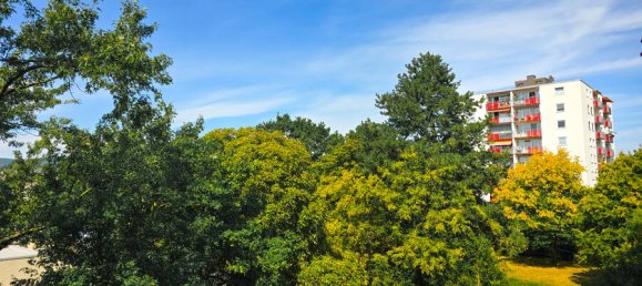 1 bedroom Apartment in Neuwied, Germany No. 363559 10