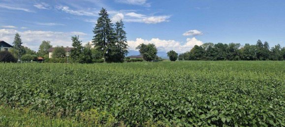 Grundstück in Eberndorf, Austria, Nr. 207877 5