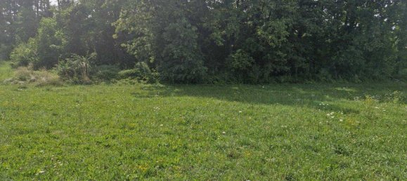 Grundstück in Eberndorf, Austria, Nr. 207877 4