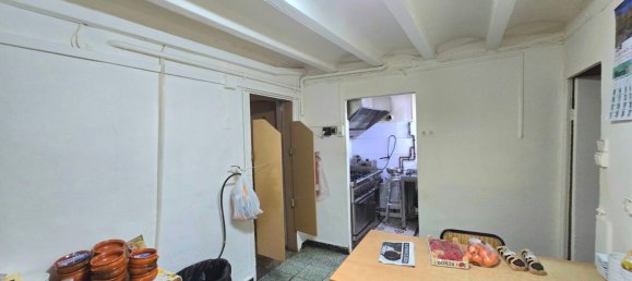 Gewerbliche Immobilie in Sants-Montjuic, Spain 250m², Nr. 68330 12