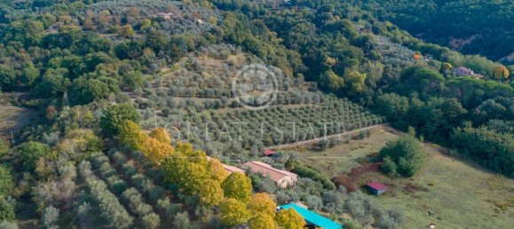 11 bedrooms House in Città della Pieve, Italy No. 56083 5