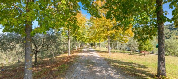 11 bedrooms House in Città della Pieve, Italy No. 56083 23