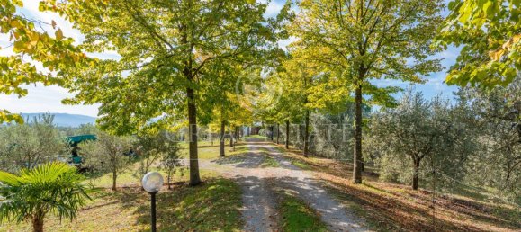 11 bedrooms House in Città della Pieve, Italy No. 56083 22