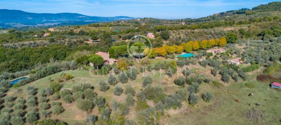 11 bedrooms House in Città della Pieve, Italy No. 56083 2