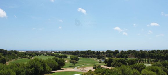 3 bedrooms Apartment in Pilar de la Horadada, Spain No. 8898 19