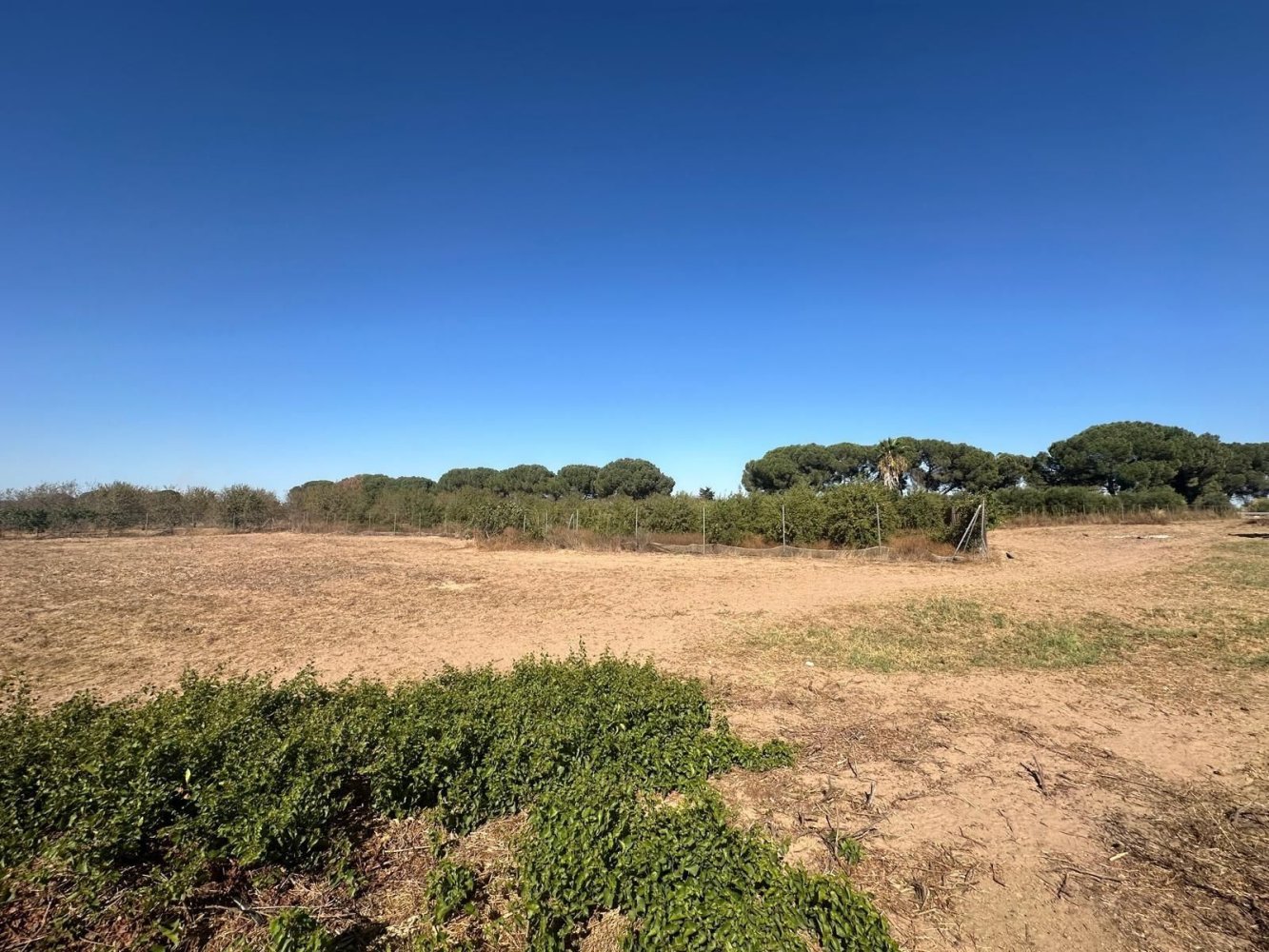 Grundstück in Andalusia, Spain 3400m², Nr. 200410