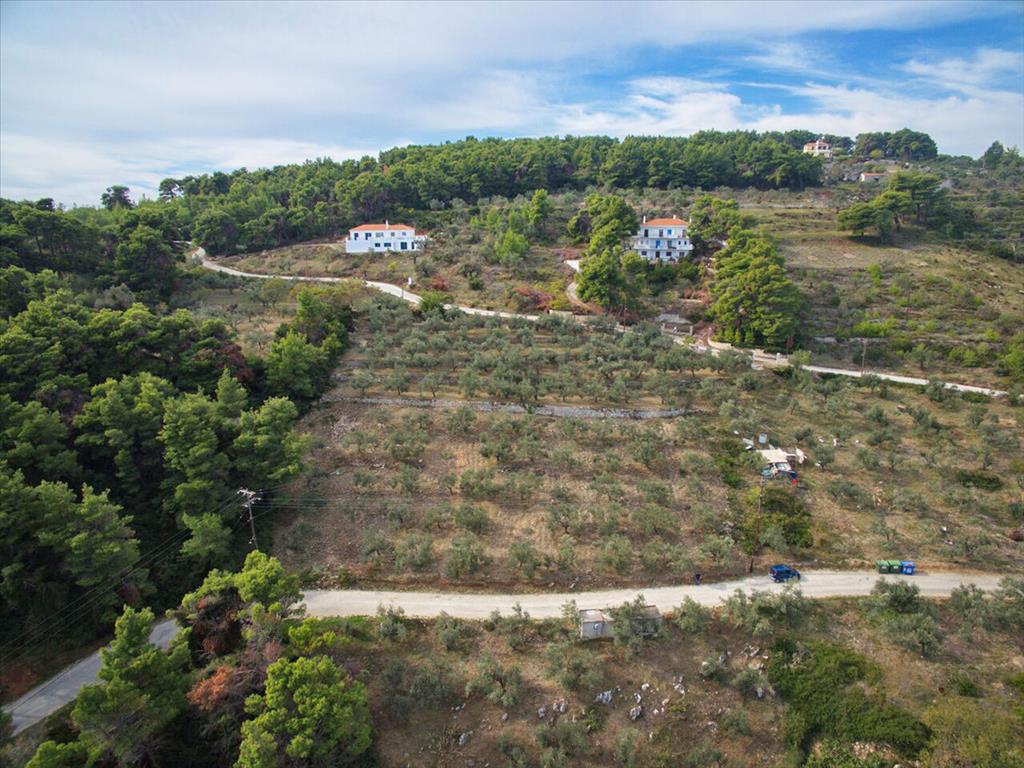 2564m² Hotel in Sporades, Greece No. 5986