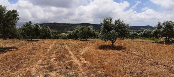 Hotel in Heraklion, Greece 15000m², Nr. 4144 6